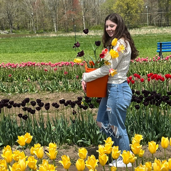 Meet your Posher, Addie - Picture 6 of 6